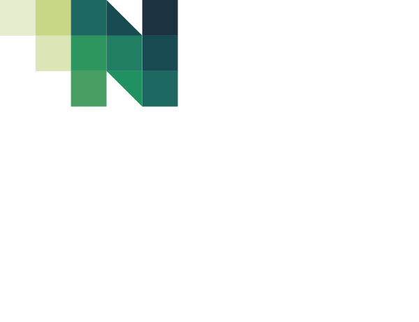 Autorijschool Dennis van Boxtel t.h.o.d.n. LesGo